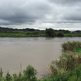 9月10日 霞ヶ浦 恋瀬川の画像