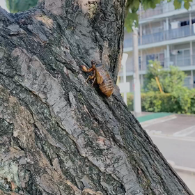信じて委ねるも大切ですねの画像