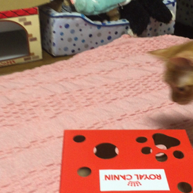 モニター当選☆の画像