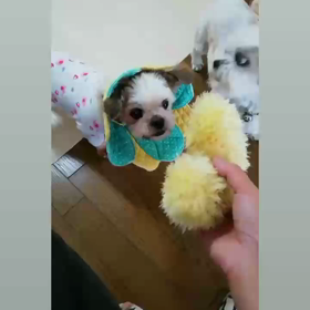 Happy＆lovely＆Fightの画像