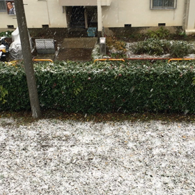 雪ー！の画像
