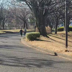 12/29 ミニ駅伝⑳の画像