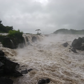 曽木の滝　動画の画像