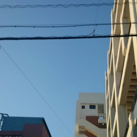 サブちゃんが教える賢い野良猫としての生き方の知恵の画像