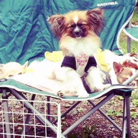 つばさ☆あったかいんだからぁ〜の画像