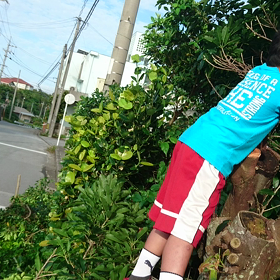 頼りになる助っ人(^^)✨の画像