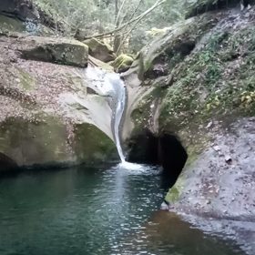 龍鎮神社　動画2の画像