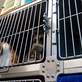 おもしろ太陽くん！の画像