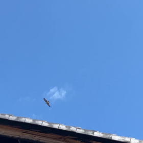 余分な物を取り除きたいひとの画像