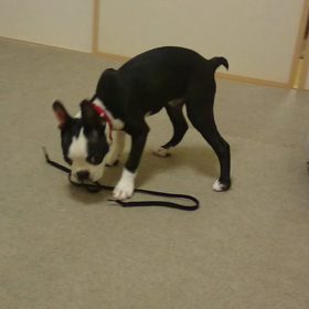 UNIQLO様々ですっ！の画像