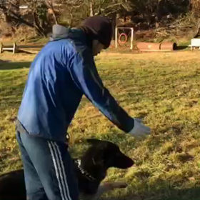 ニュート防衛の画像