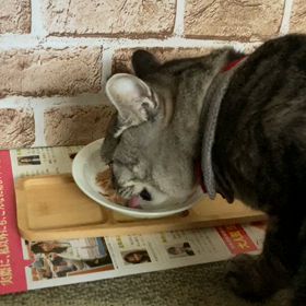 ただただの画像