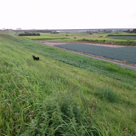 ママ vs conaの画像