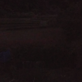 ”ひぐらしの大合唱(^-^)”の画像