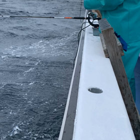 合間を縫っての画像