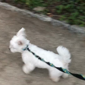 ♪お散歩動画♪参宮橋公園♪の画像