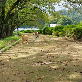 お久しぶり～⤴の画像