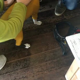 アニマル オステオパシーの画像