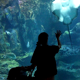 男鹿水族館の画像