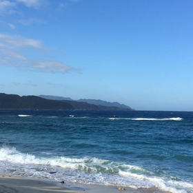 波の音…鳥の鳴き声…そして風の音の画像