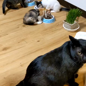 あの頃は・その２の画像