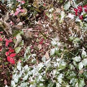 今日の出来事❗️の画像