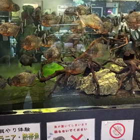 大阪名古屋遠征奇行番外編③の画像