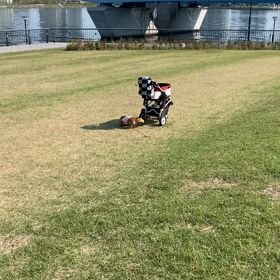 朝活の季節の画像