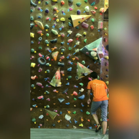 ボル日48の画像