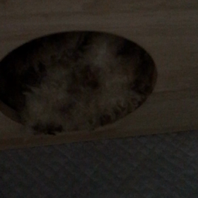 いつもの朝(^^;の画像