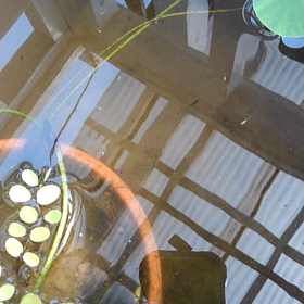 増えた～そして屋内針子もの画像