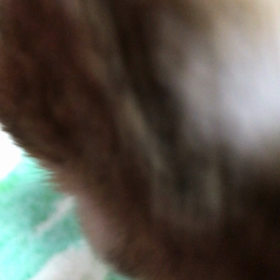 お耳掃除の画像