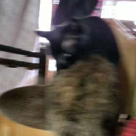 ソラと力の  画像