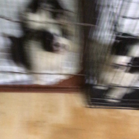 初の試練の画像