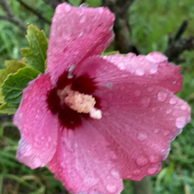 介護記録１７６（１日の反省会）の画像