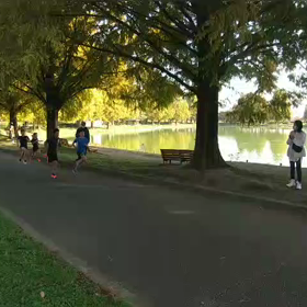 県駅伝男子選考会⑥の画像