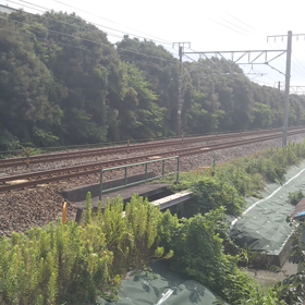 西濃カンガルーライナーの画像