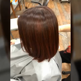 人気上昇中のボルドーの画像