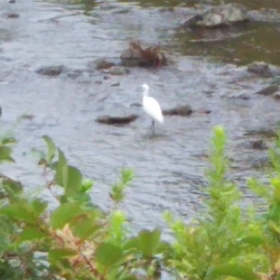 雰囲気だけでも…の画像