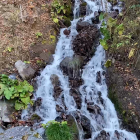 237 観察は、観たら取る道を選択するまで含んじゃう❗️の画像