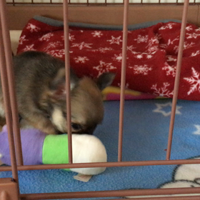 ワクチン1回目の画像