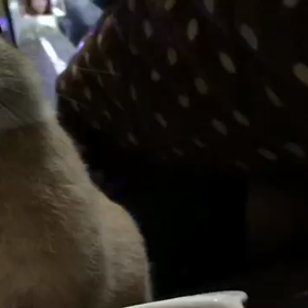 スローモーション2の画像