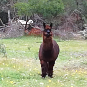 もっとお喋りしての画像