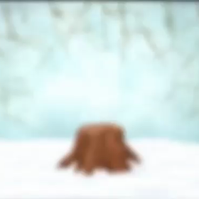 イースターの画像