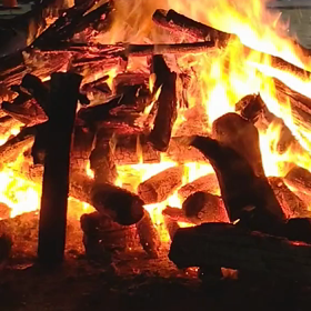 君と百までの画像