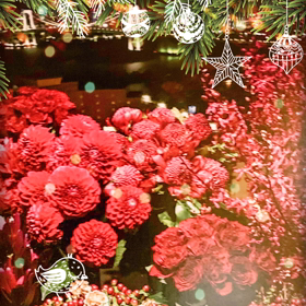 メリークリスマスの画像