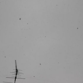 東京制覇～ミゾレだぁー、雪だぁ！～の巻の画像