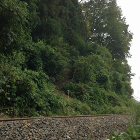 いつものSLその２の画像