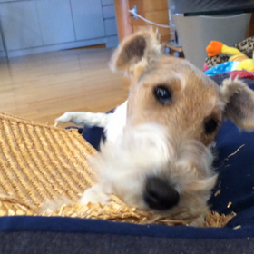 夢中になりすぎての画像