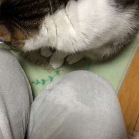 滑り症だいぶ回復！ありがとう。天ぷらは今後食べない！の画像